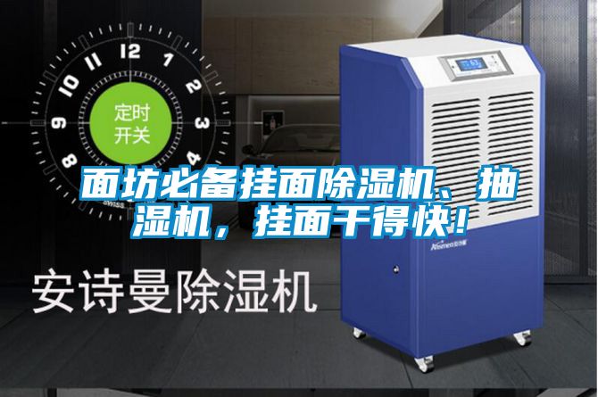 面坊必備掛面除濕機、抽濕機，掛面干得快！