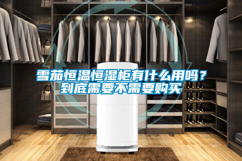 雪茄恒溫恒濕柜有什么用嗎？到底需要不需要購(gòu)買(mǎi)