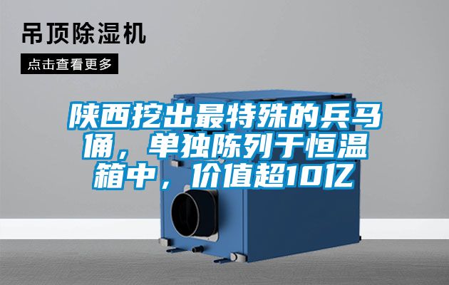 陜西挖出最特殊的兵馬俑，單獨陳列于恒溫箱中，價值超10億