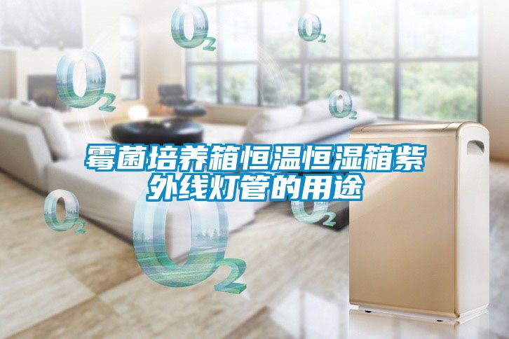 霉菌培養(yǎng)箱恒溫恒濕箱紫外線(xiàn)燈管的用途