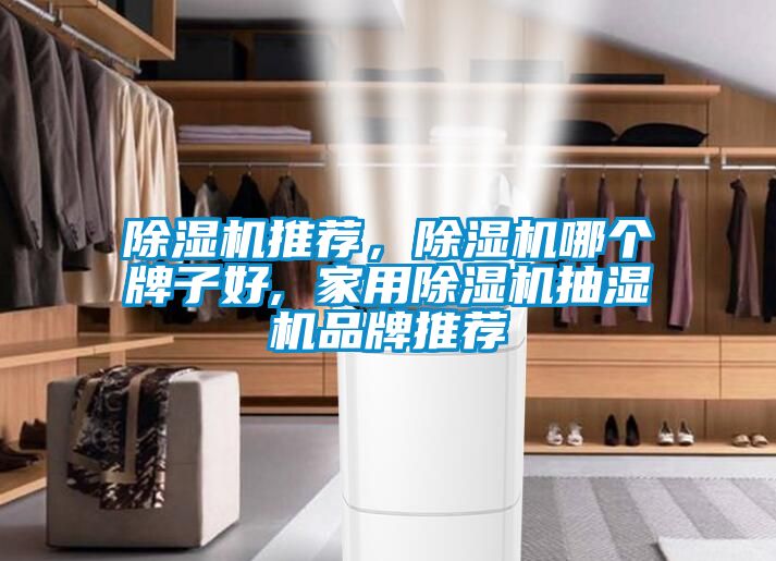 除濕機(jī)推薦，除濕機(jī)哪個(gè)牌子好, 家用除濕機(jī)抽濕機(jī)品牌推薦