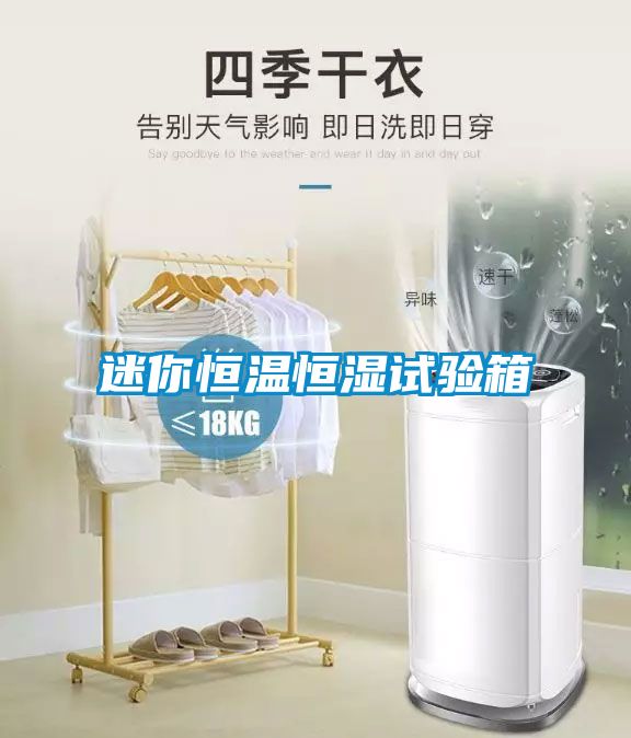 迷你恒溫恒濕試驗(yàn)箱