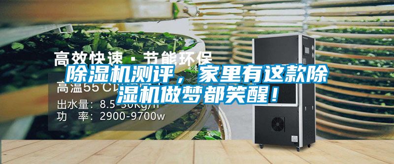 除濕機(jī)測(cè)評(píng)，家里有這款除濕機(jī)做夢(mèng)都笑醒！