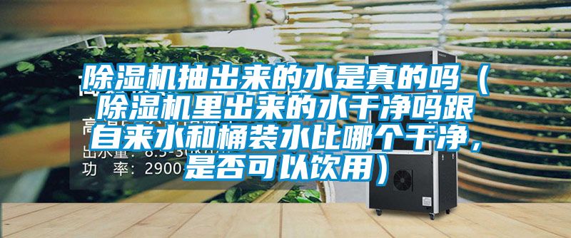 除濕機(jī)抽出來的水是真的嗎（除濕機(jī)里出來的水干凈嗎跟自來水和桶裝水比哪個干凈，是否可以飲用）