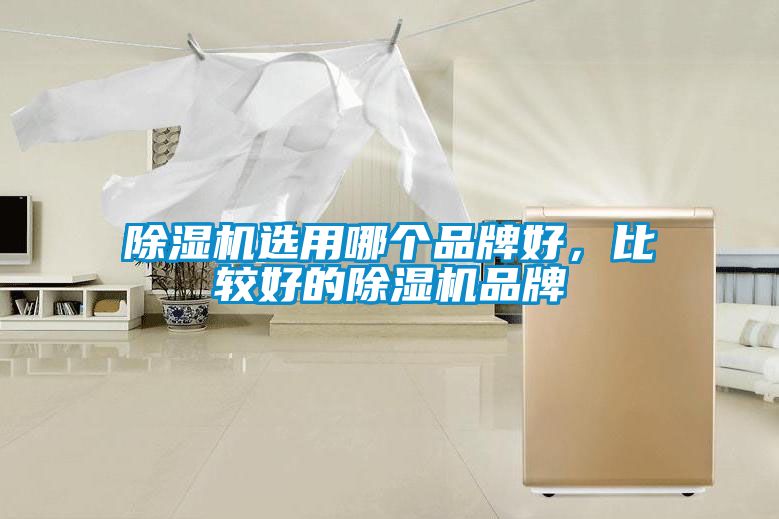 除濕機選用哪個品牌好，比較好的除濕機品牌