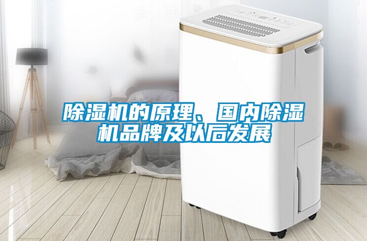 除濕機(jī)的原理、國內(nèi)除濕機(jī)品牌及以后發(fā)展