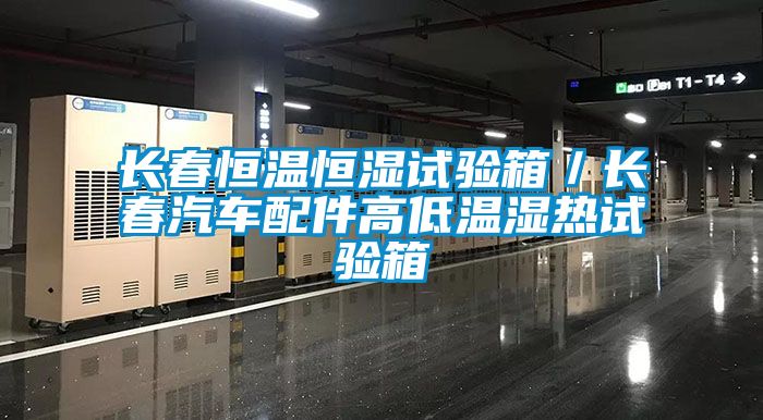 長(zhǎng)春恒溫恒濕試驗(yàn)箱／長(zhǎng)春汽車(chē)配件高低溫濕熱試驗(yàn)箱