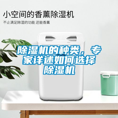 除濕機(jī)的種類(lèi)，專(zhuān)家詳述如何選擇除濕機(jī)