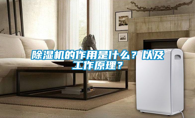 除濕機(jī)的作用是什么？以及工作原理？