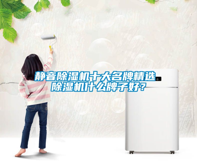 靜音除濕機(jī)十大名牌精選 除濕機(jī)什么牌子好？