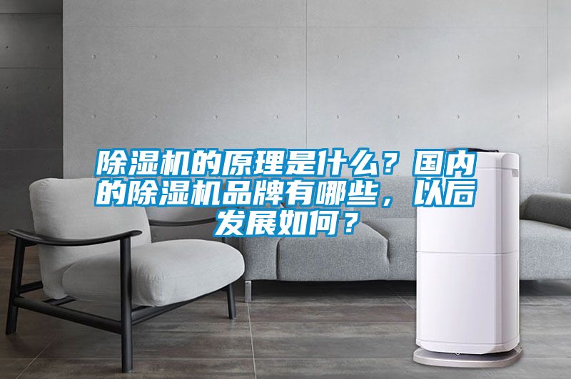 除濕機的原理是什么？國內(nèi)的除濕機品牌有哪些，以后發(fā)展如何？