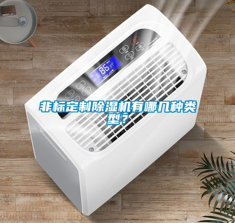 非標(biāo)定制除濕機有哪幾種類型？