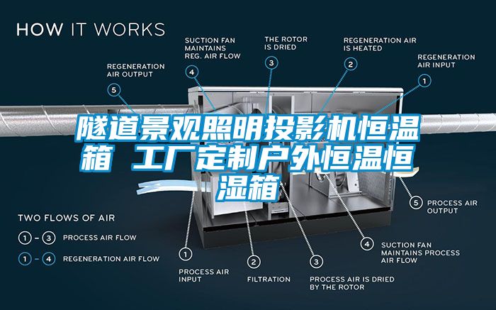 隧道景觀照明投影機(jī)恒溫箱 工廠定制戶(hù)外恒溫恒濕箱