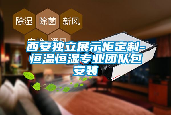 西安獨立展示柜定制-恒溫恒濕專業(yè)團(tuán)隊包安裝