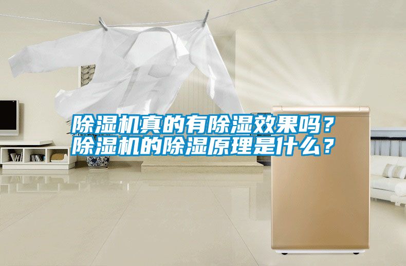 除濕機真的有除濕效果嗎？除濕機的除濕原理是什么？