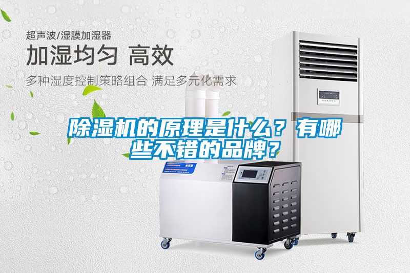 除濕機的原理是什么？有哪些不錯的品牌？