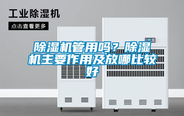 除濕機(jī)管用嗎？除濕機(jī)主要作用及放哪比較好