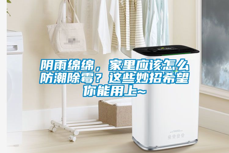 陰雨綿綿，家里應(yīng)該怎么防潮除霉？這些妙招希望你能用上~