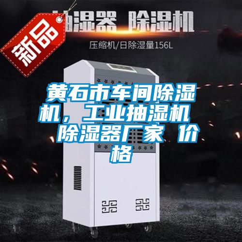 黃石市車(chē)間除濕機(jī)，工業(yè)抽濕機(jī)  除濕器廠家 價(jià)格