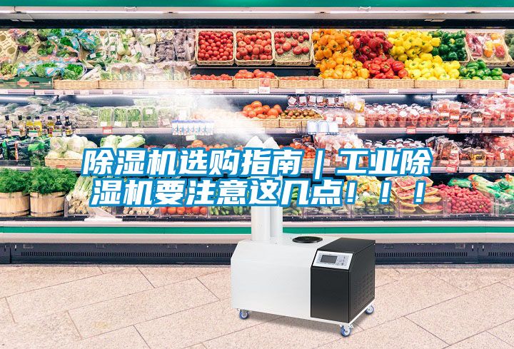除濕機選購指南｜工業除濕機要注意這幾點！！！