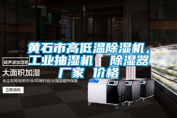 黃石市高低溫除濕機，工業(yè)抽濕機  除濕器廠家 價格