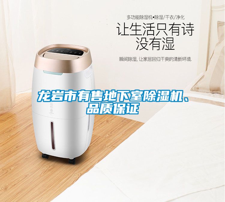龍巖市有售地下室除濕機(jī)、品質(zhì)保證