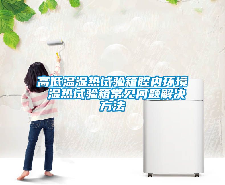 高低溫濕熱試驗(yàn)箱腔內(nèi)環(huán)境 濕熱試驗(yàn)箱常見問(wèn)題解決方法