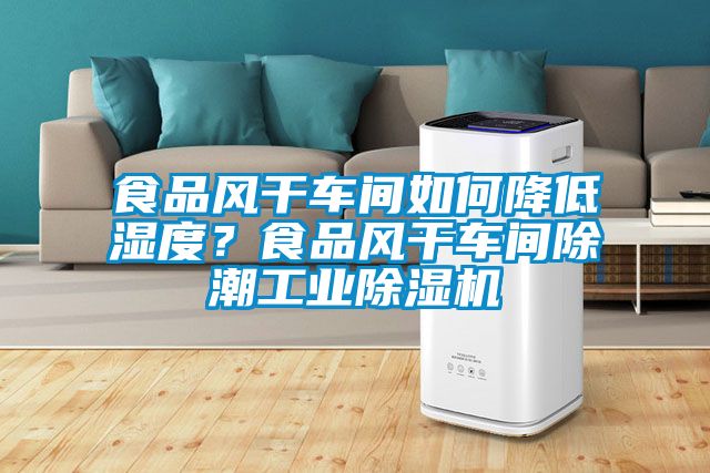 食品風(fēng)干車間如何降低濕度？食品風(fēng)干車間除潮工業(yè)除濕機(jī)